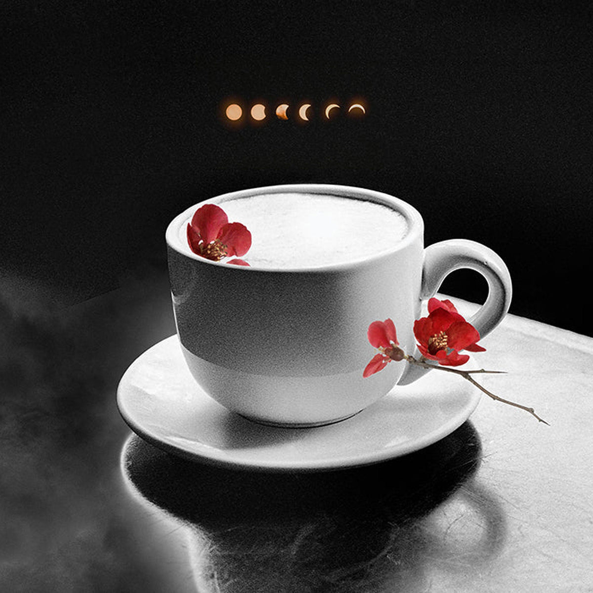 Photography Prints