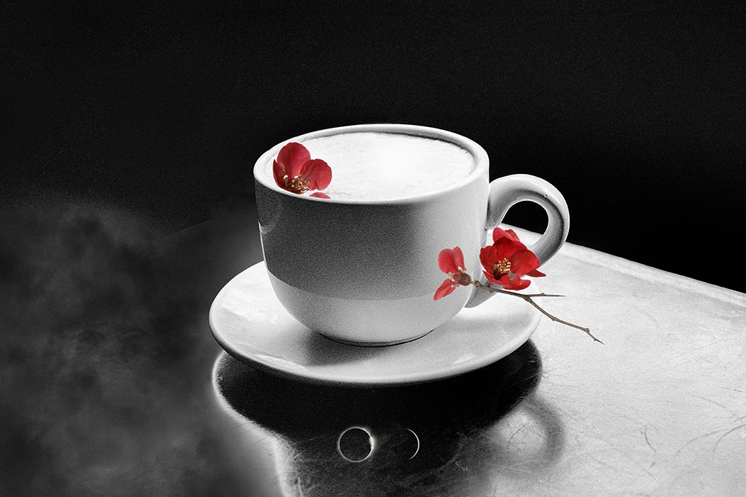 'Coffeeclipse Phase 1' Matte Print