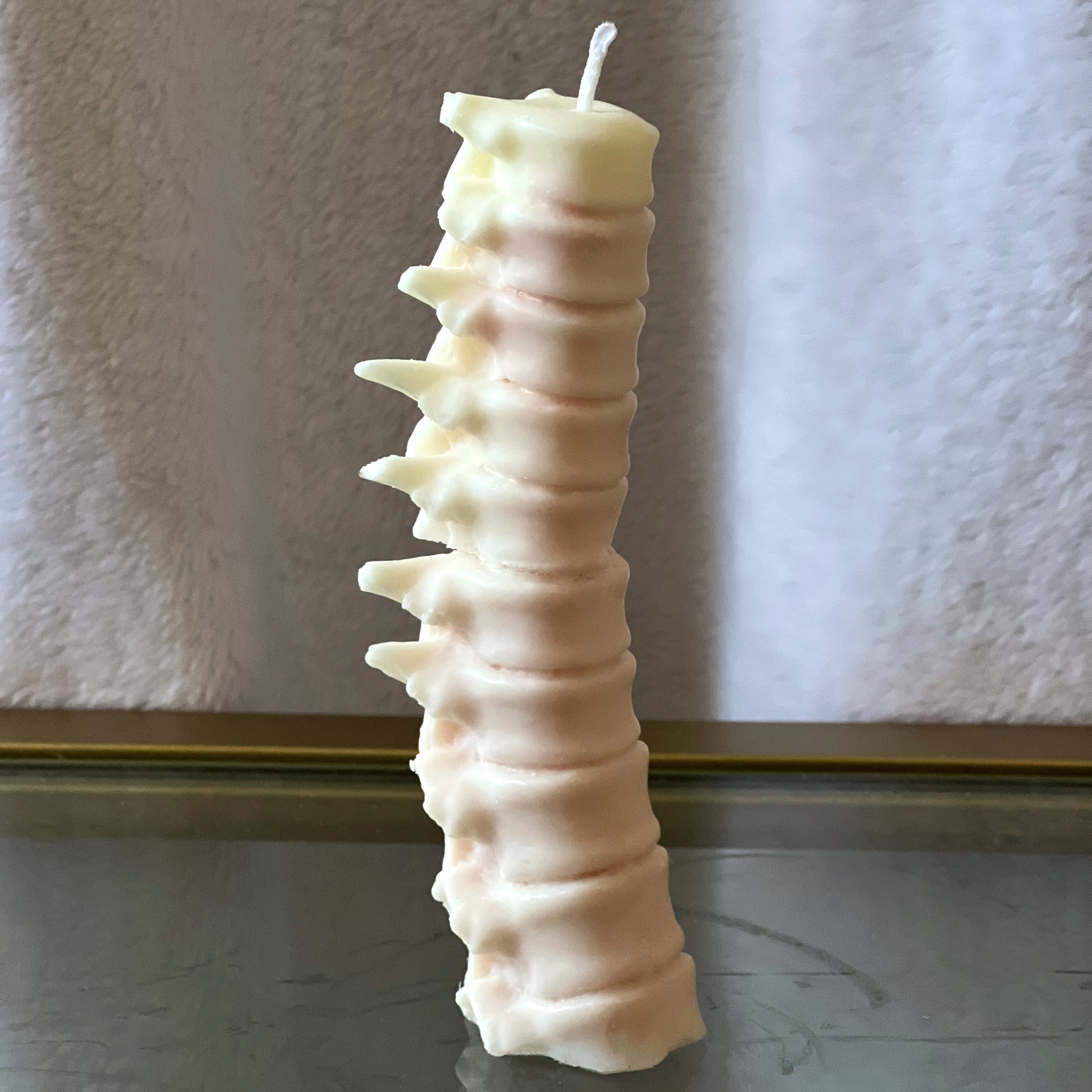 Human Spine Candle